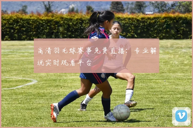 高清羽毛球赛事免费直播：专业解说实时观看平台