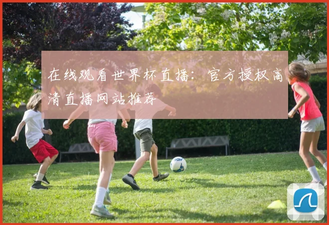 在线观看世界杯直播:官方授权高清直播网站推荐