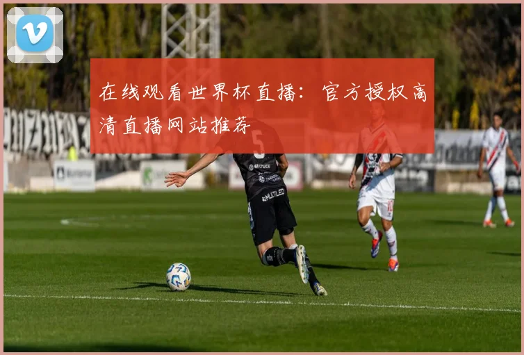 在线观看世界杯直播:官方授权高清直播网站推荐