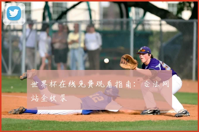 世界杯在线免费观看指南:合法网站全收录