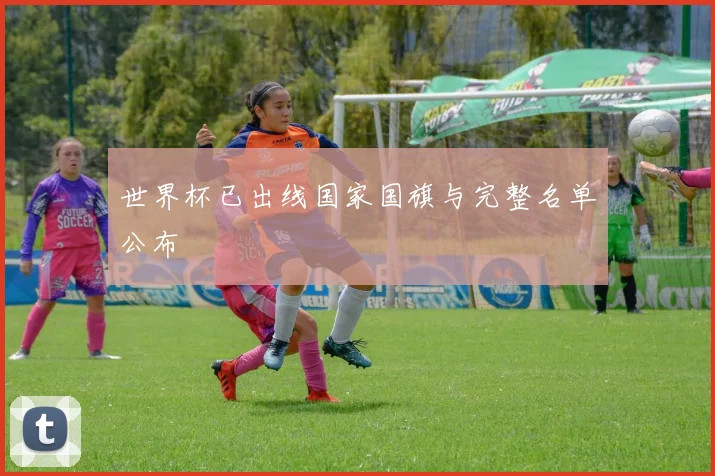世界杯已出线国家国旗与完整名单公布