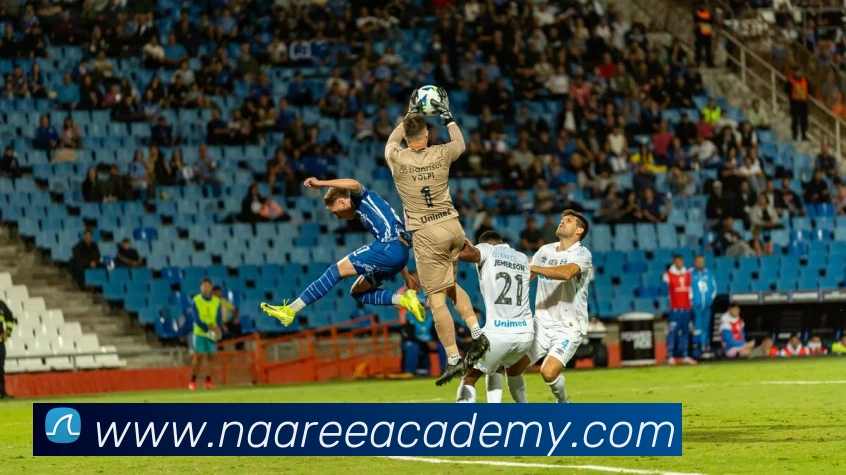 体育直播客户端平台生态图